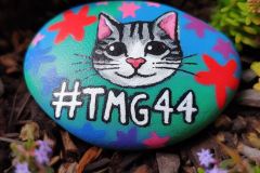 #TMG44